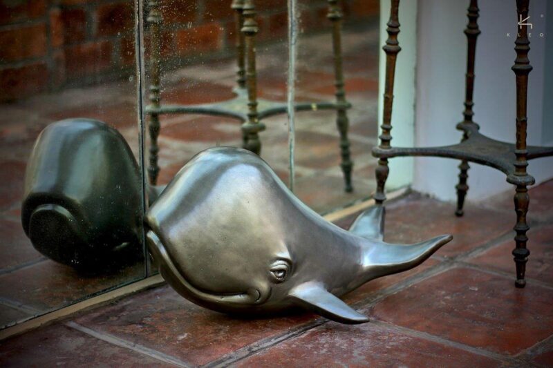 Baleine aluminium – Image 2